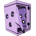 SECRET DOME - KINK CLUB CABINE SCANDALE PURPLE